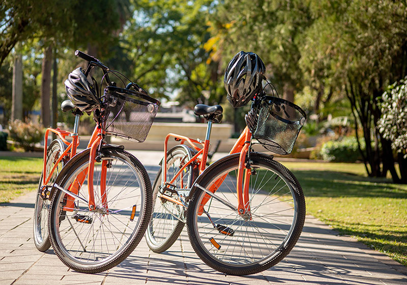 Alquiler de bicicletas