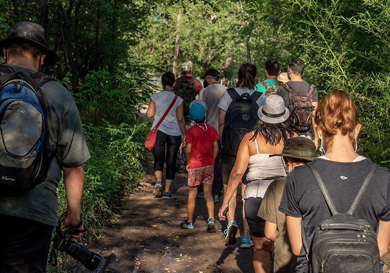 Free Walking Tour
