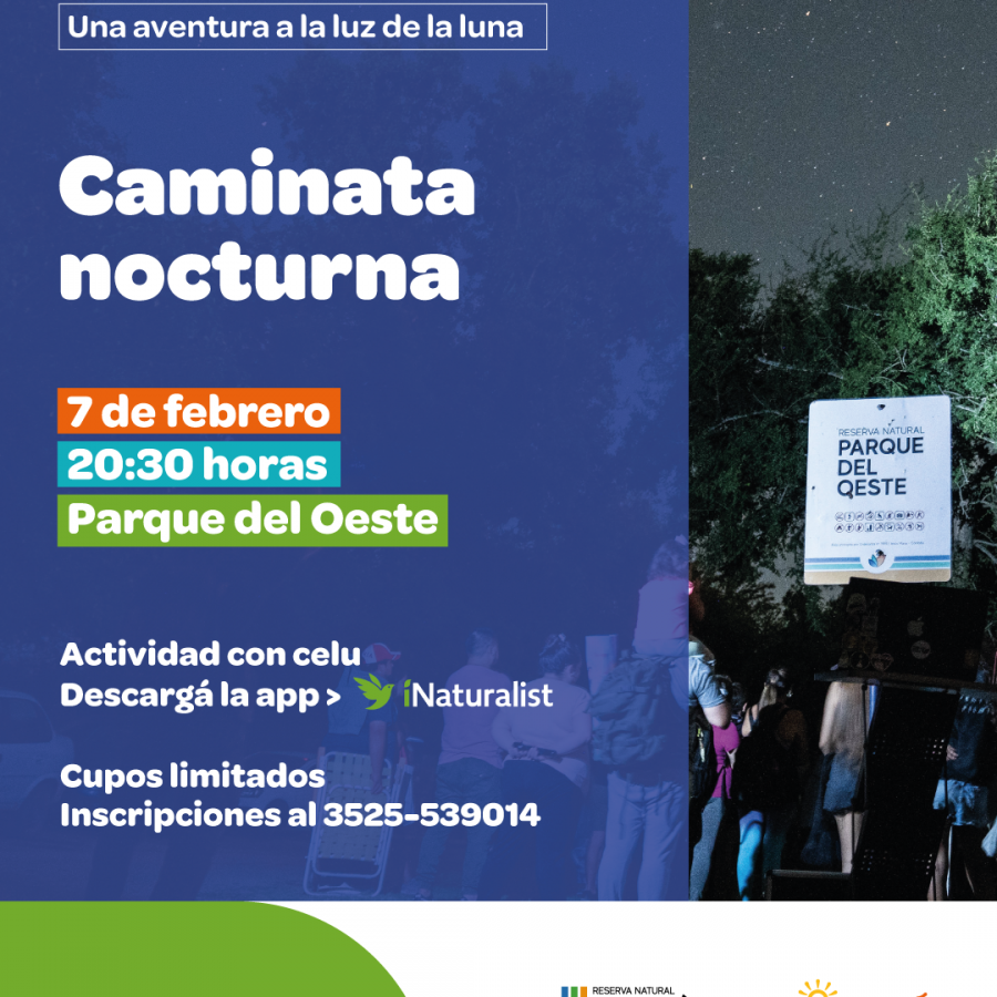 Caminata nocturna