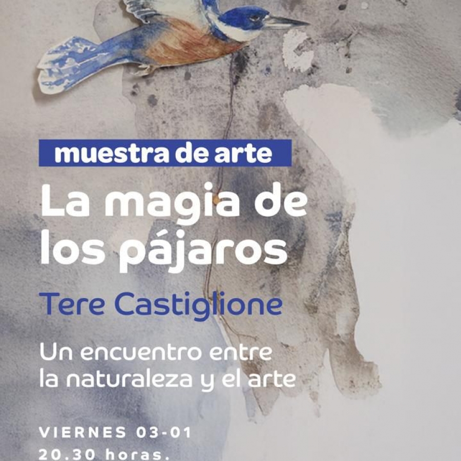 Muestra de Arte "La Magia de los Pájaros"