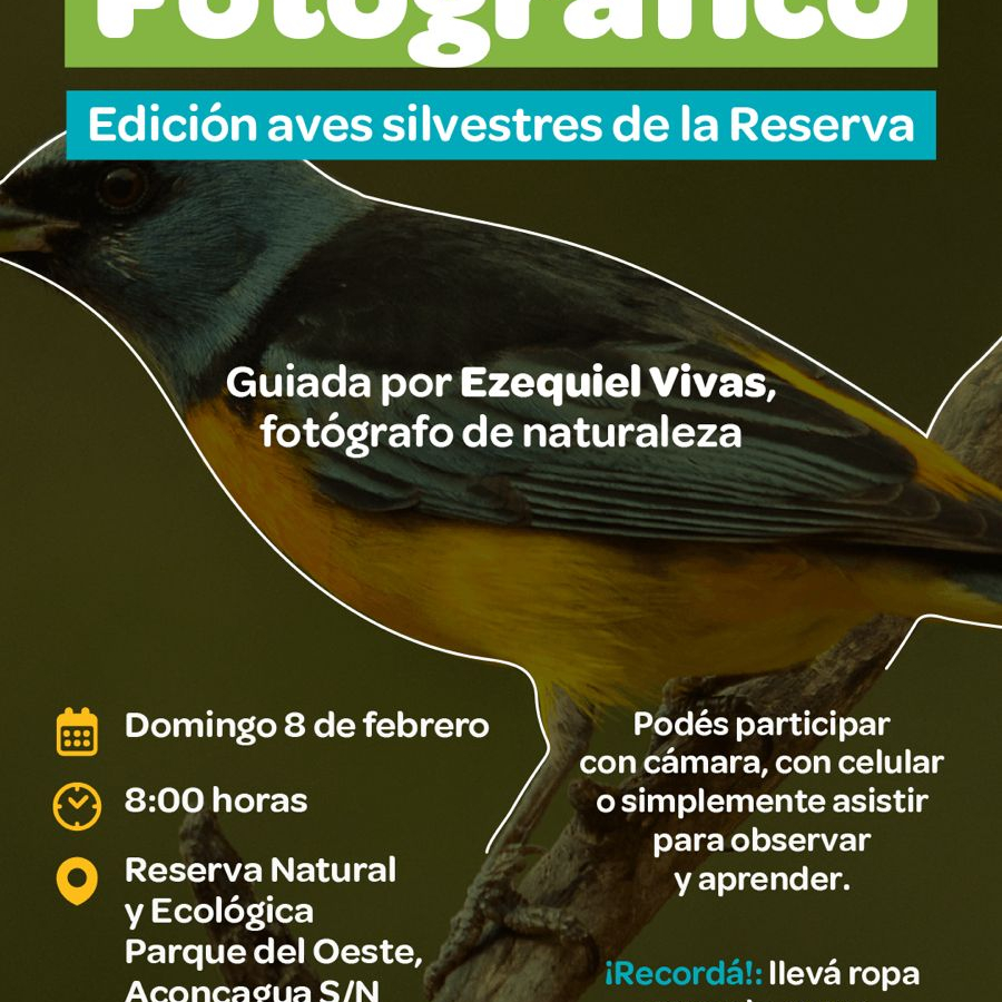 Safari Fotográfico: edición aves silvestres en el Parque del Oeste