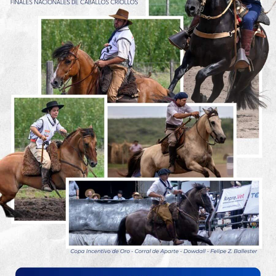 "Cumbre de Campeones 2026" Finales de Caballos Criollos